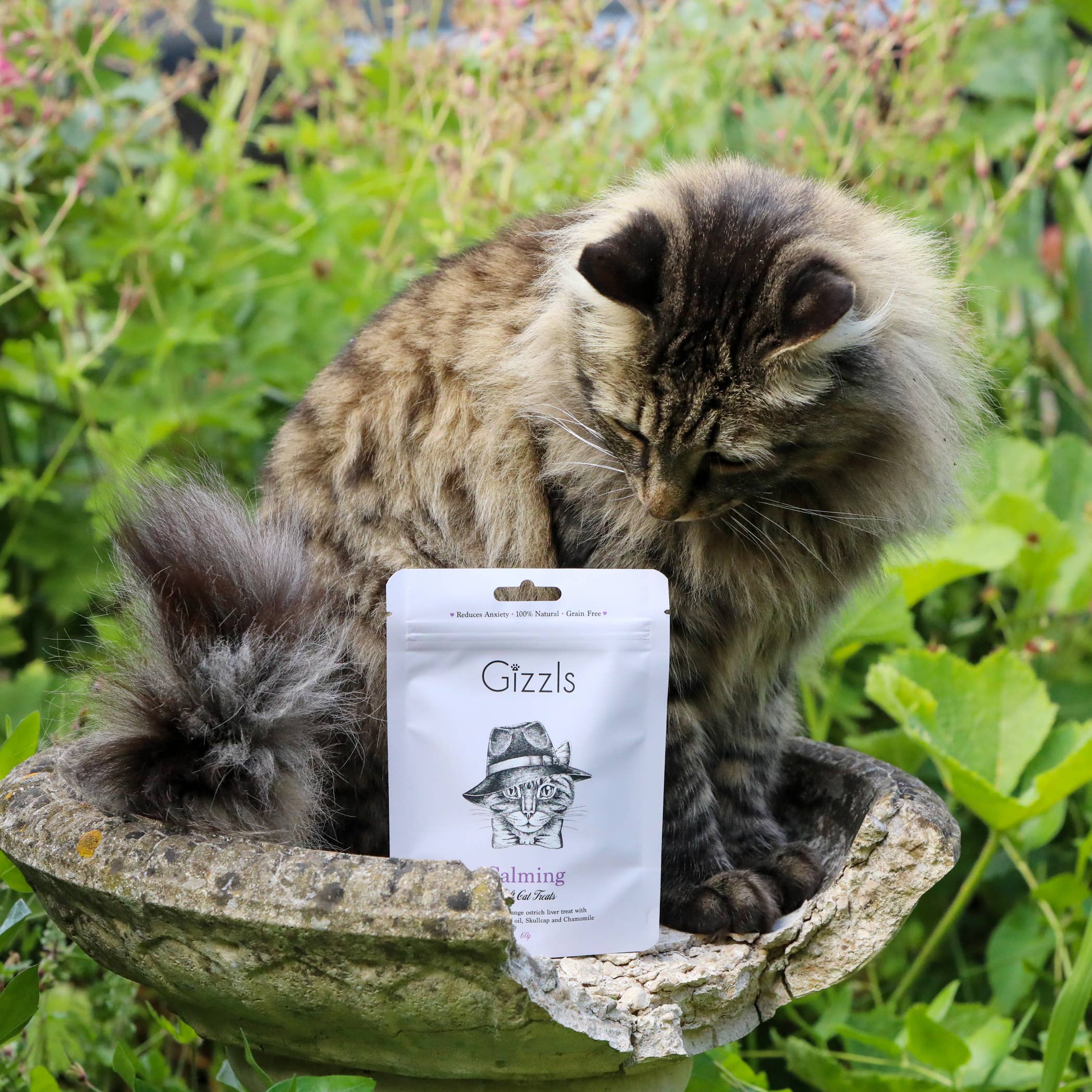 Calming Soft Cat Treats