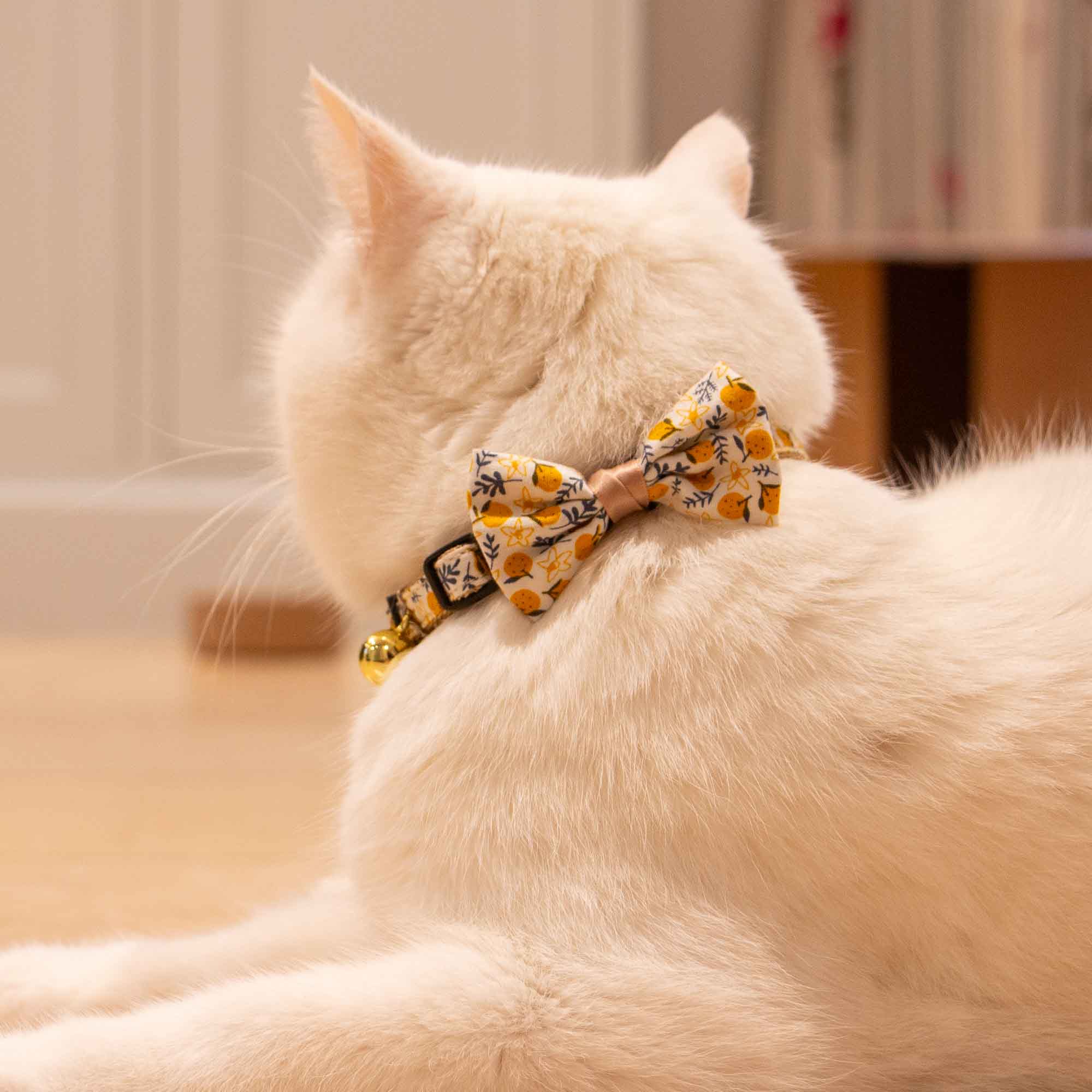 Citrus Fruit Pattern Cat Collar