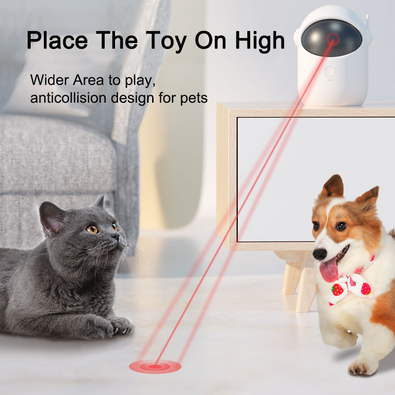 Laser Fun Pet Toy