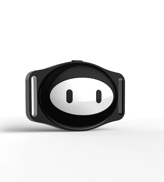 Pet Locator GPS and Gear