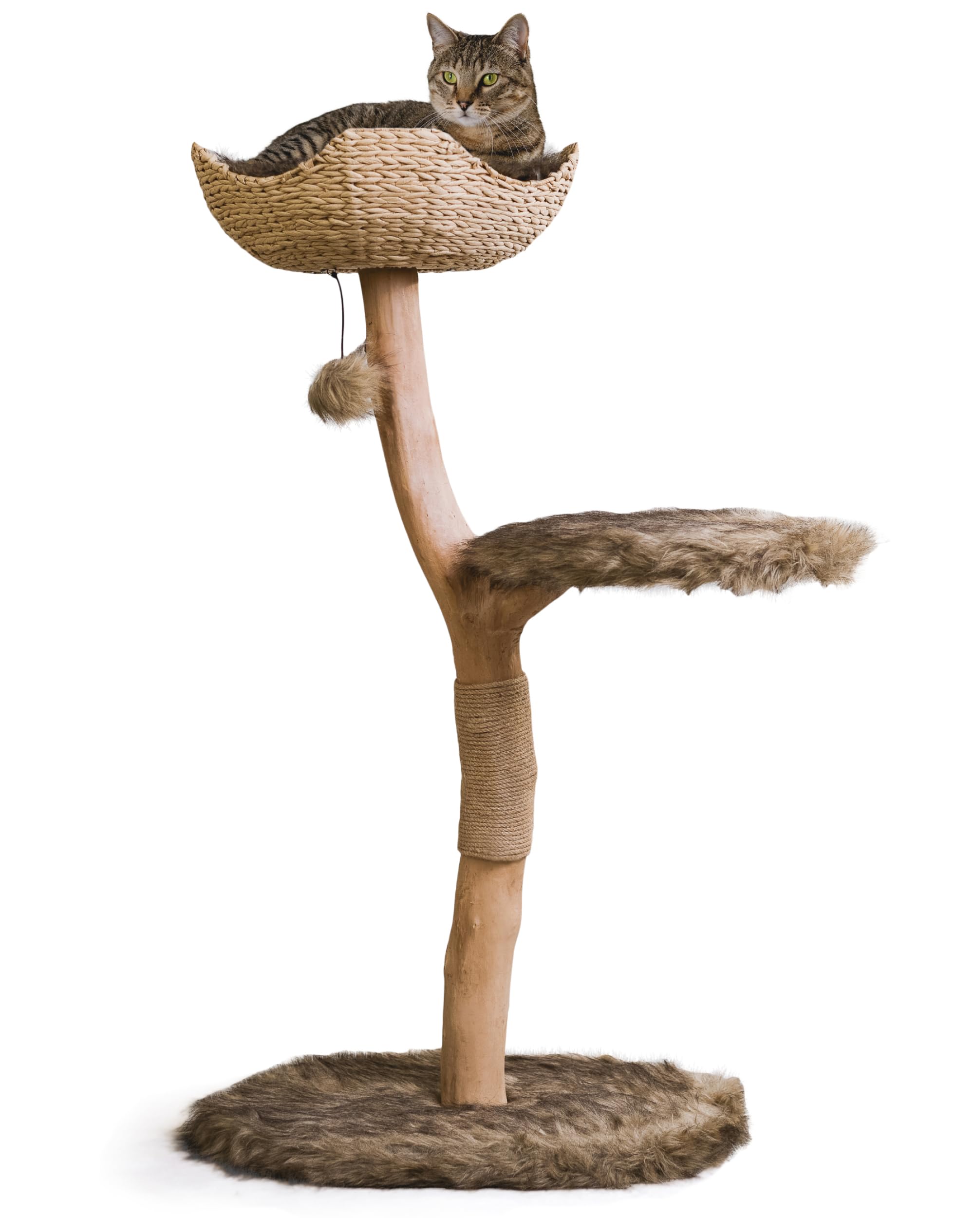 Modern Wooden Cat Tower - Brown