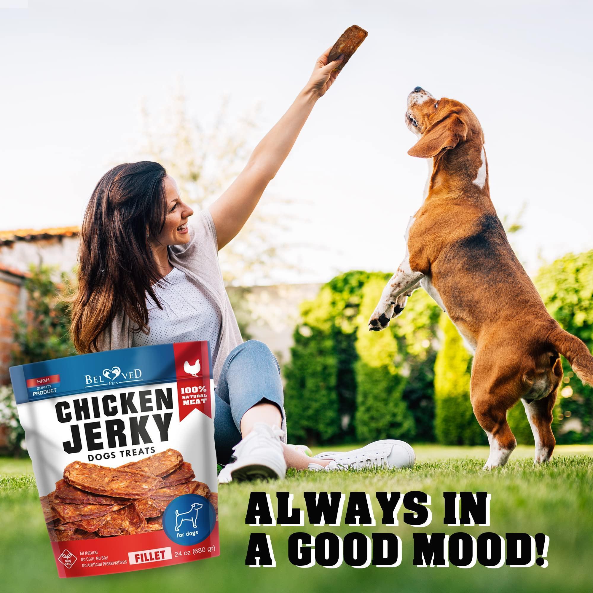 Grain-Free Chicken Jerky Dog Treats 1.5 Lb