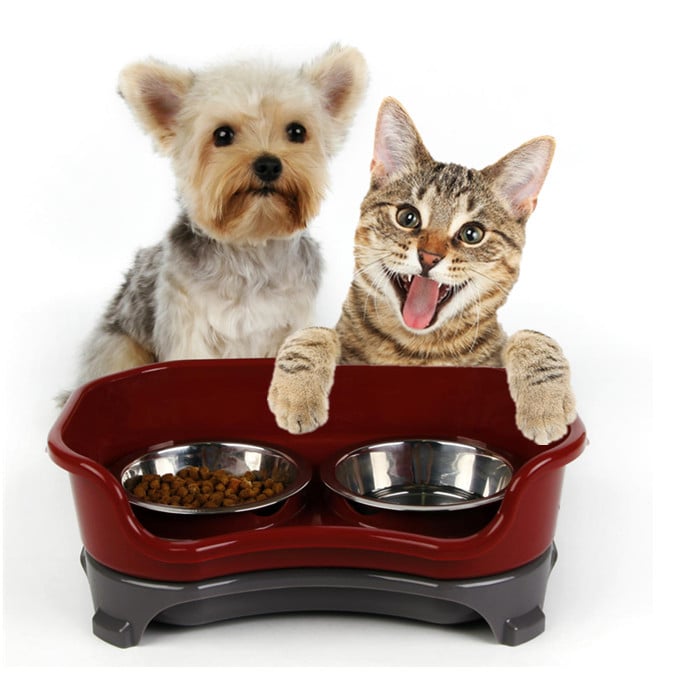 Dual Dog & Cat Stainless Feeding Bowls