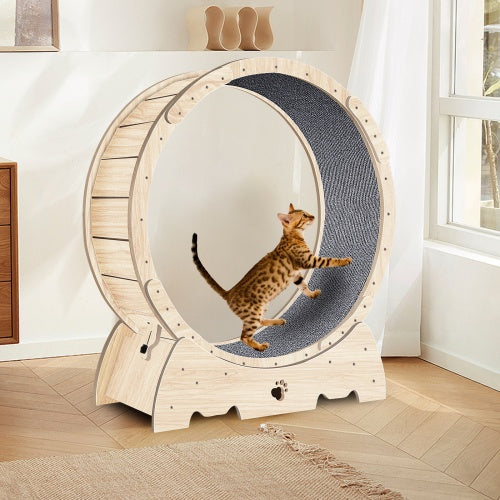 Feline Fitness Indoor Running Wheel