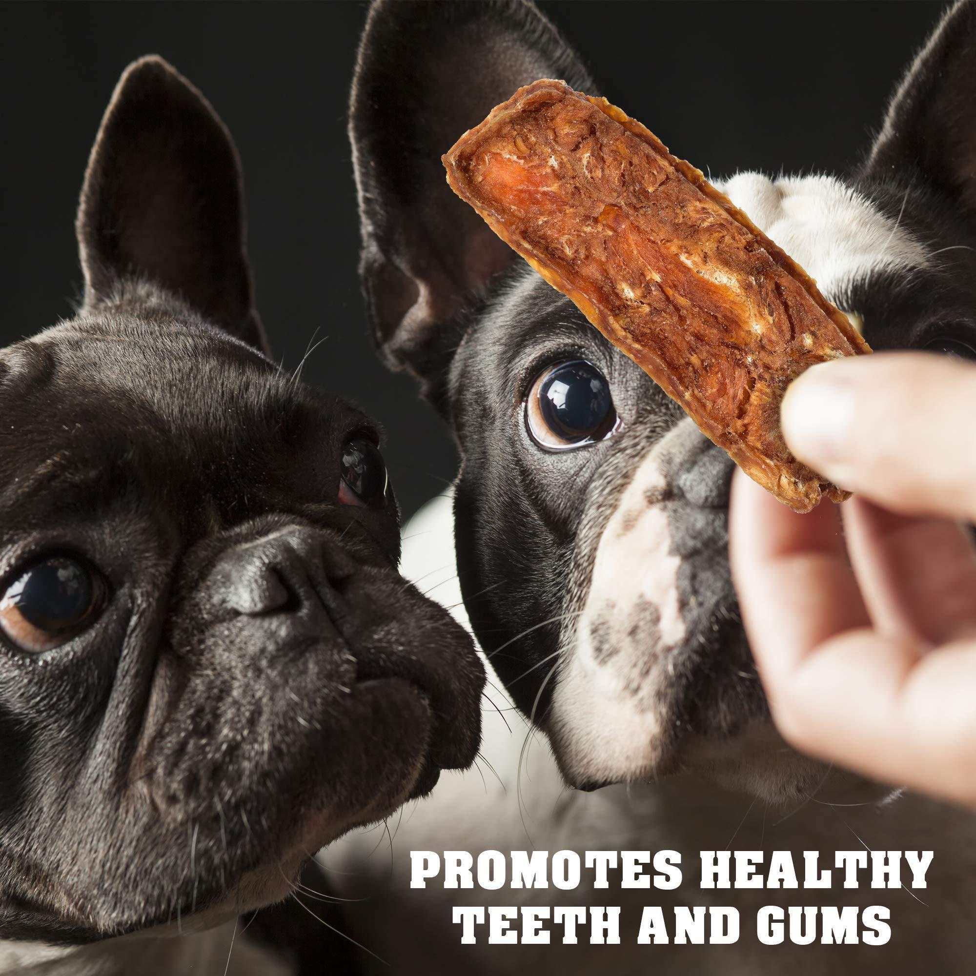 Grain-Free Chicken Jerky Dog Treats 1.5 Lb