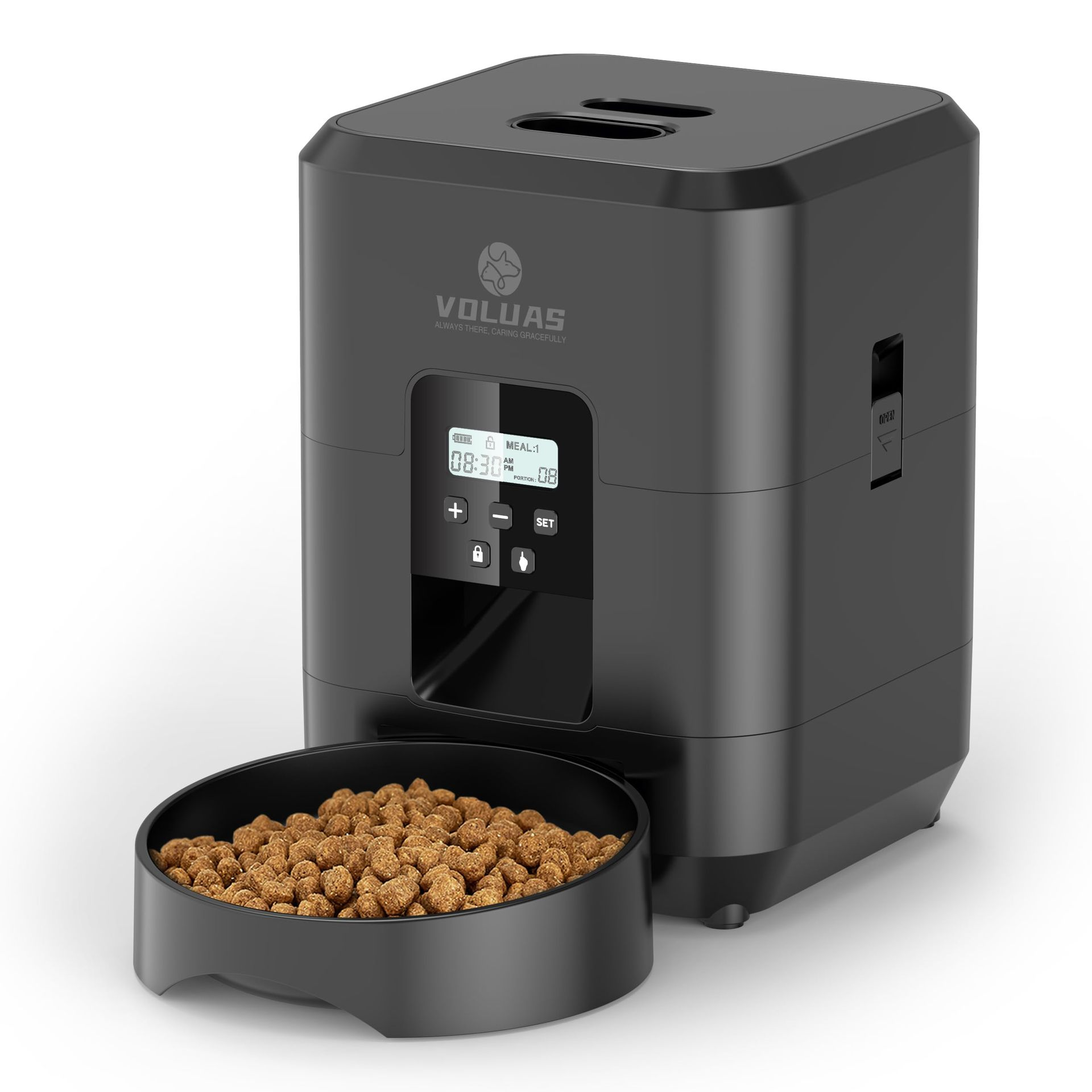 SmartServe Feeder