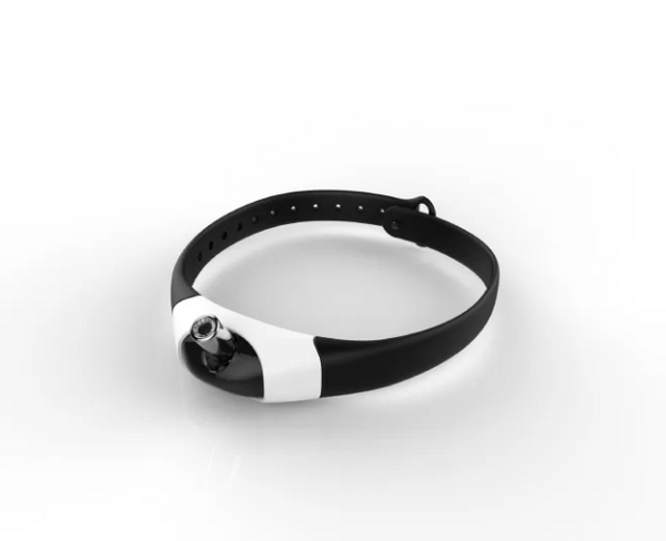 Playful Paws Cat Toy