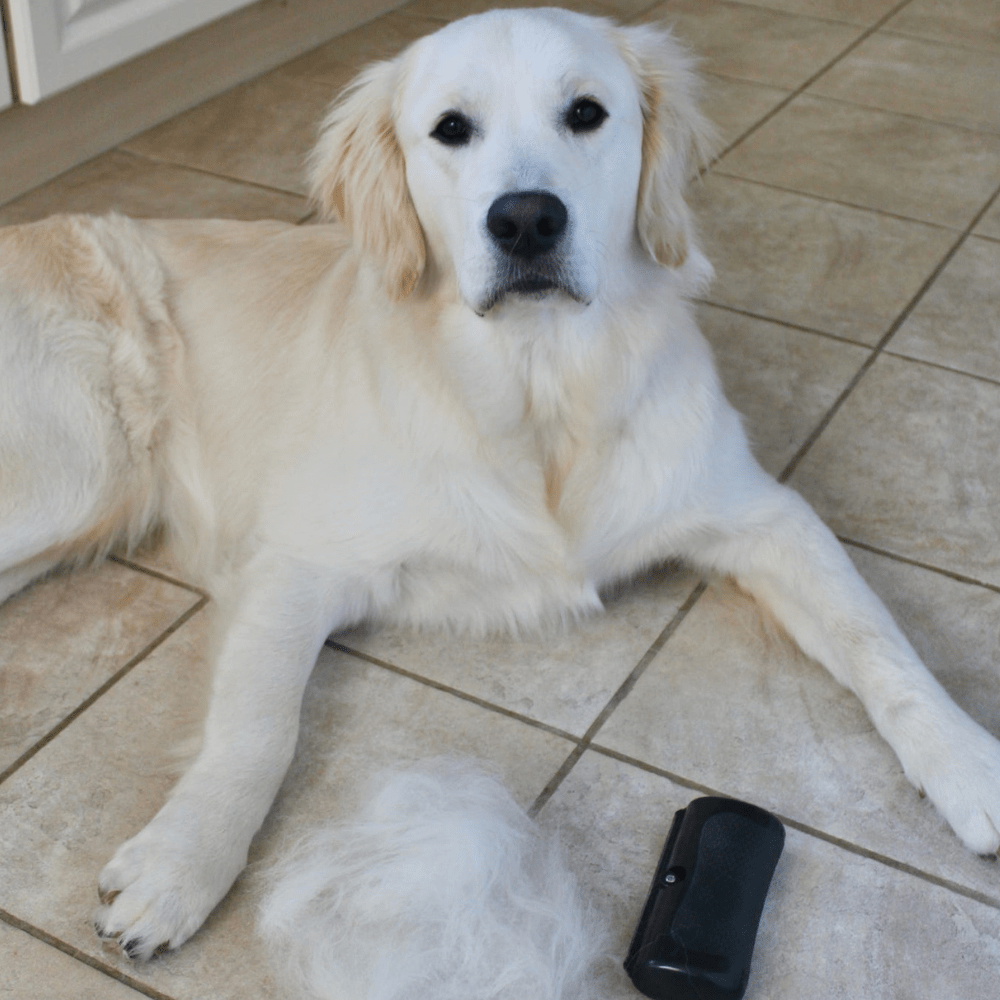Deshedding Brush For Dogs, Cats, Horses – Black