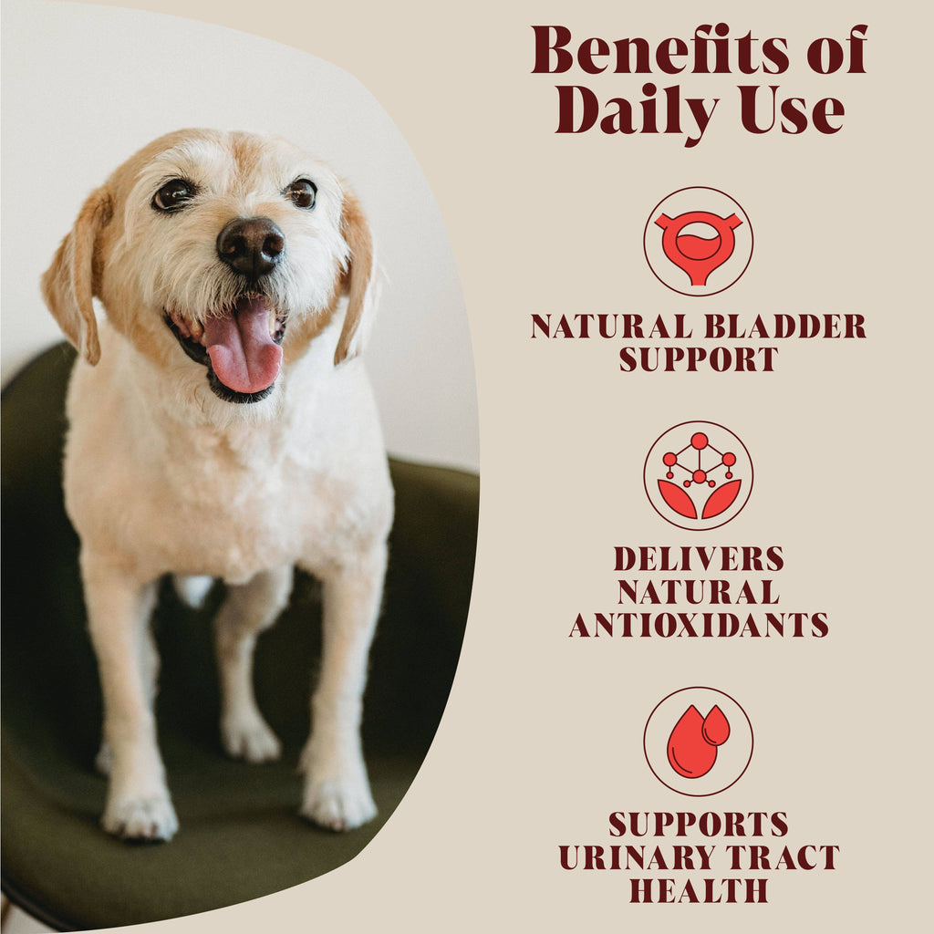 Urinary Cranberry For Dogs | 40 Servings | (Rrp: £16.95)