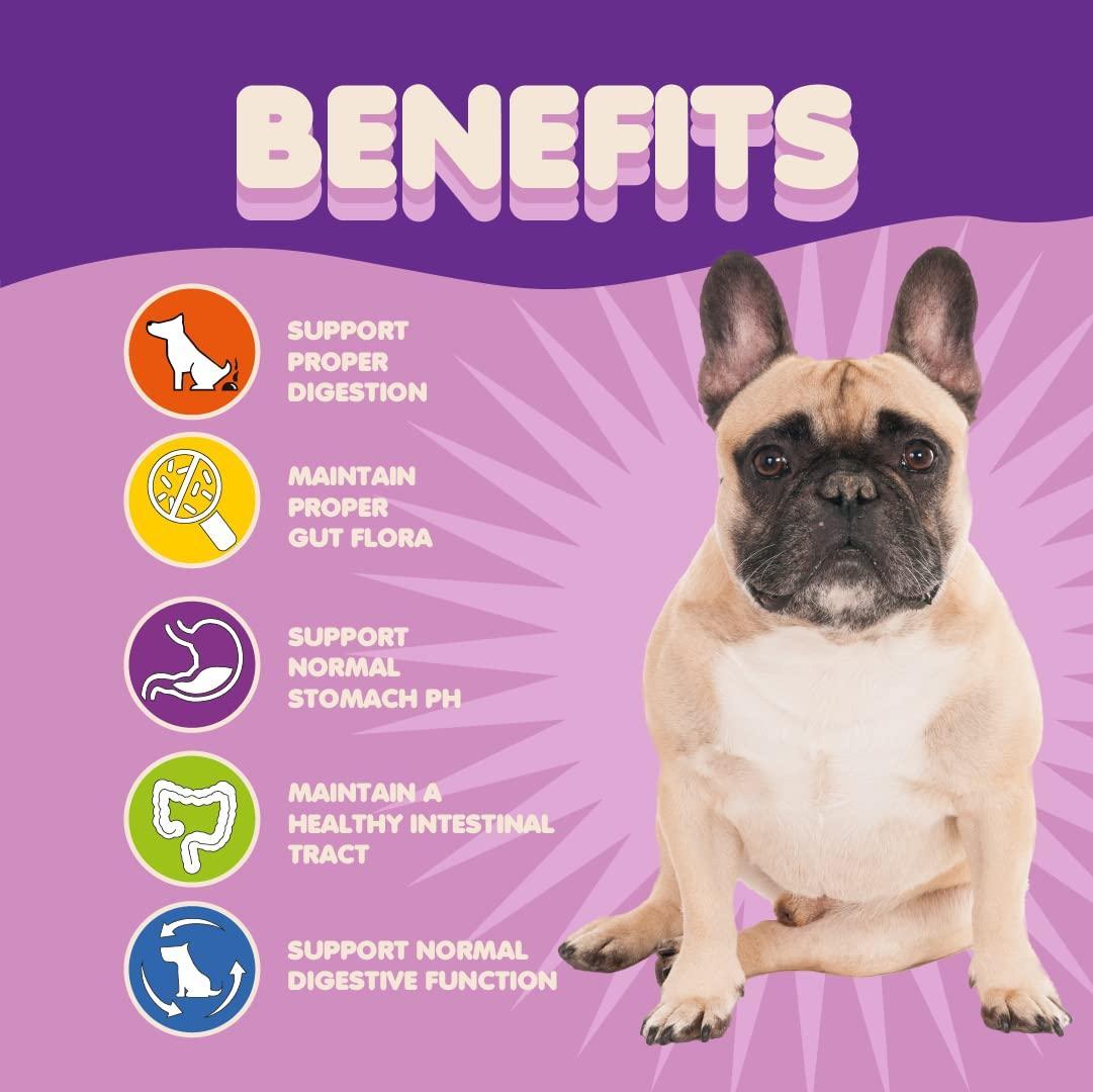 Canine 9-Strain Probiotic Blend 5B CFU