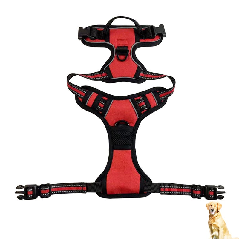 GlowGuard Dog Harness