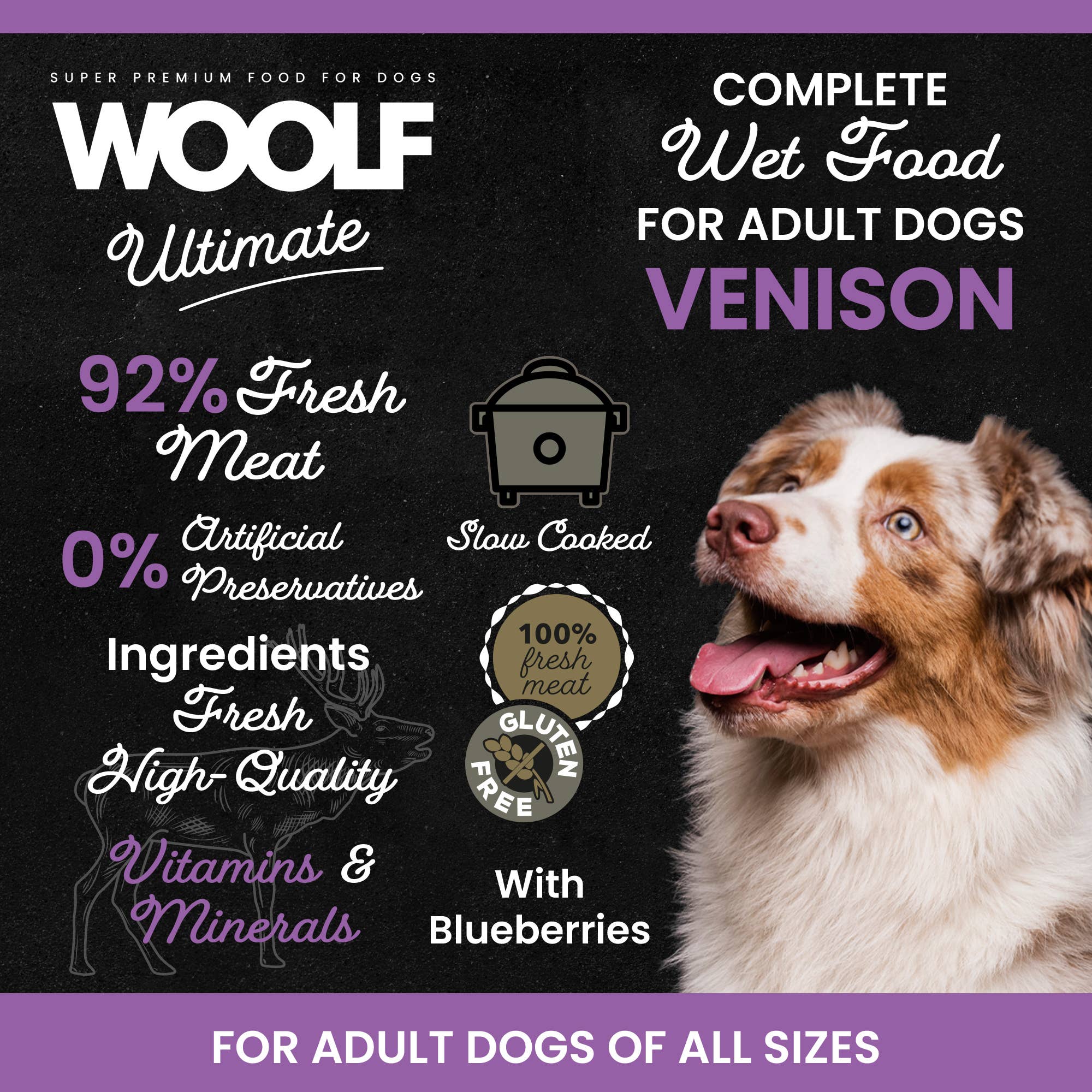 Canned Dogfood