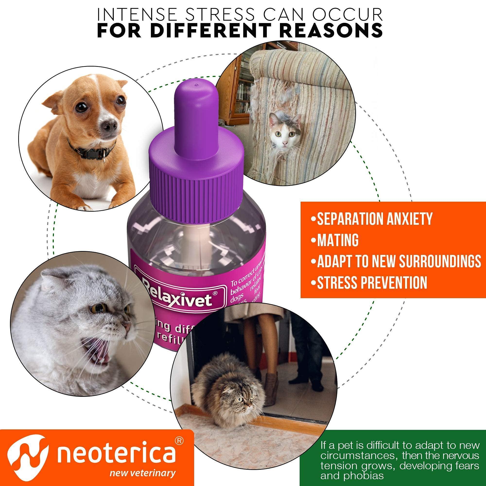 Soothing Feline Pheromone Refill 2-Pack