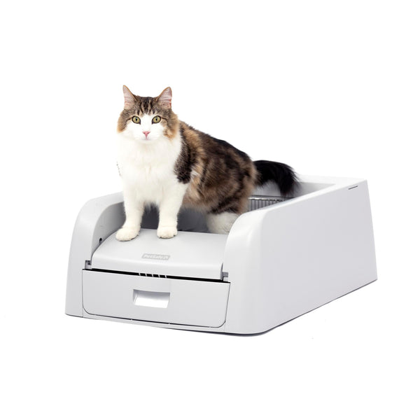 PetGuard Self-Cleaning Litter Box