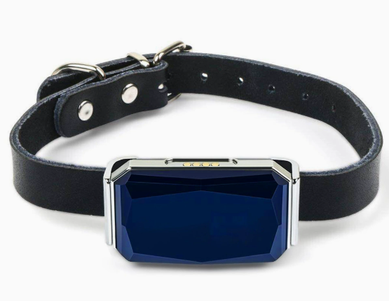 Pet Locator GPS and Gear