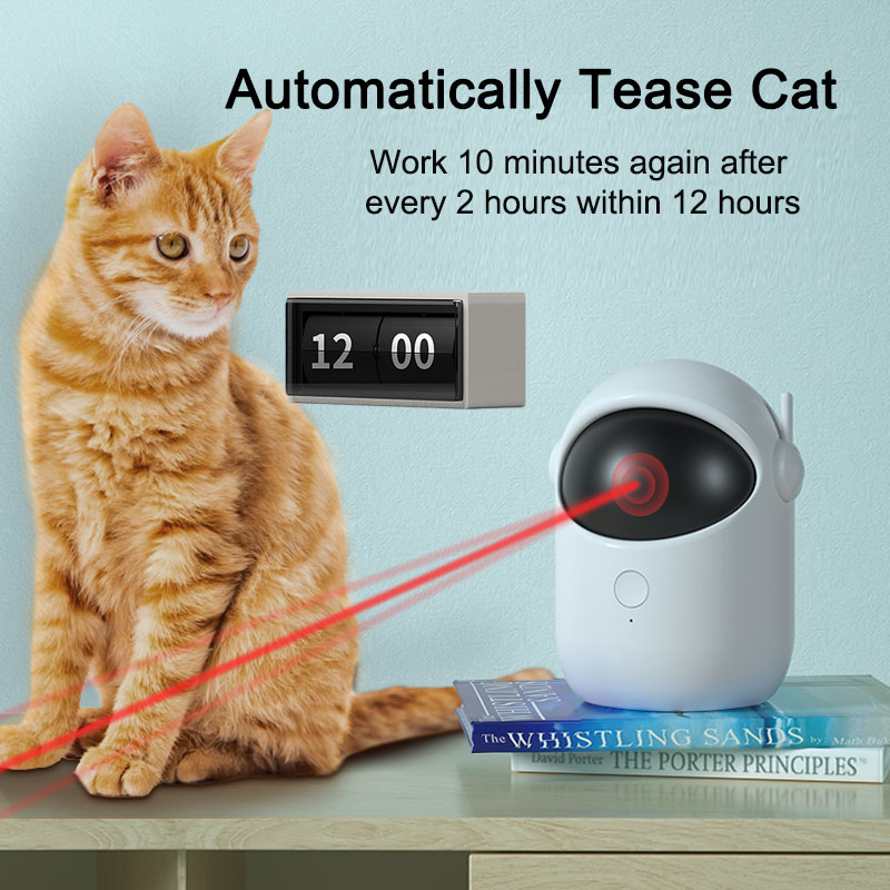 Laser Fun Pet Toy
