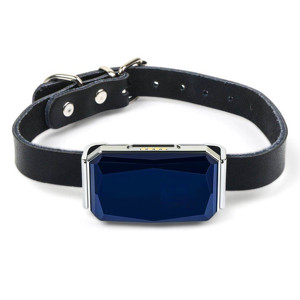 Pet Locator GPS Tracking Collar