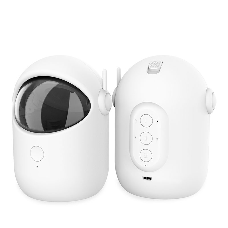 Laser Fun Pet Toy