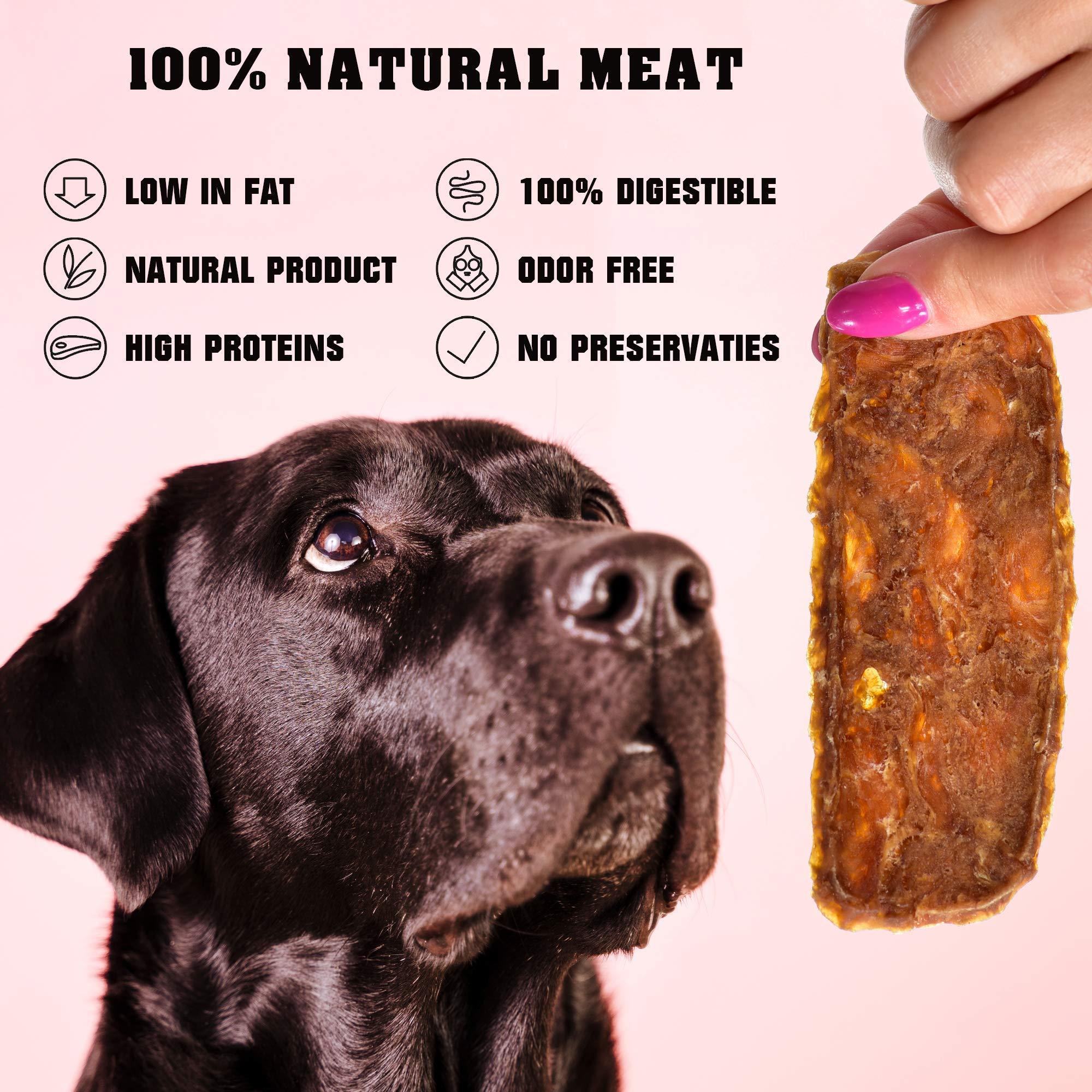 Grain-Free Chicken Jerky Dog Treats 1.5 Lb
