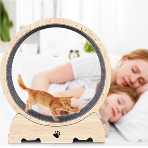 Feline Fitness Indoor Running Wheel