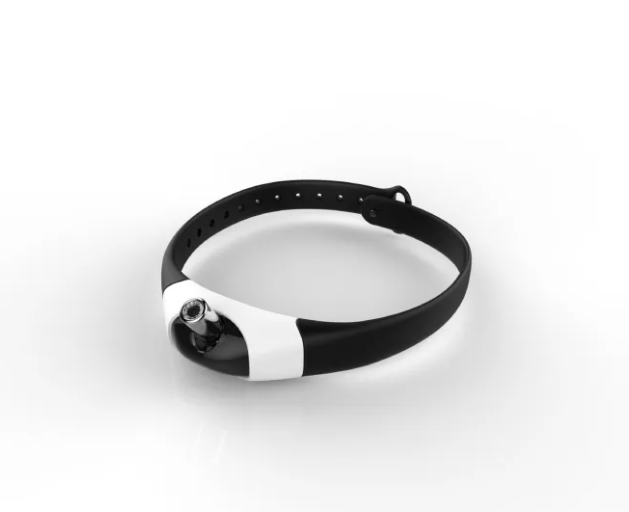 Playful Paws Cat Toy