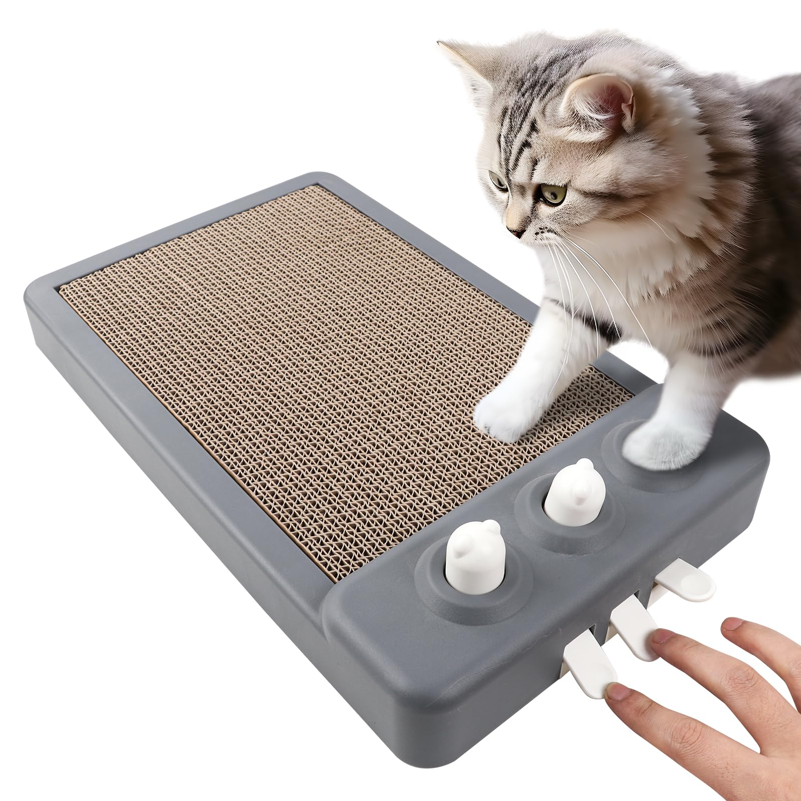 WhiskerWiz Interactive Cat Scratcher