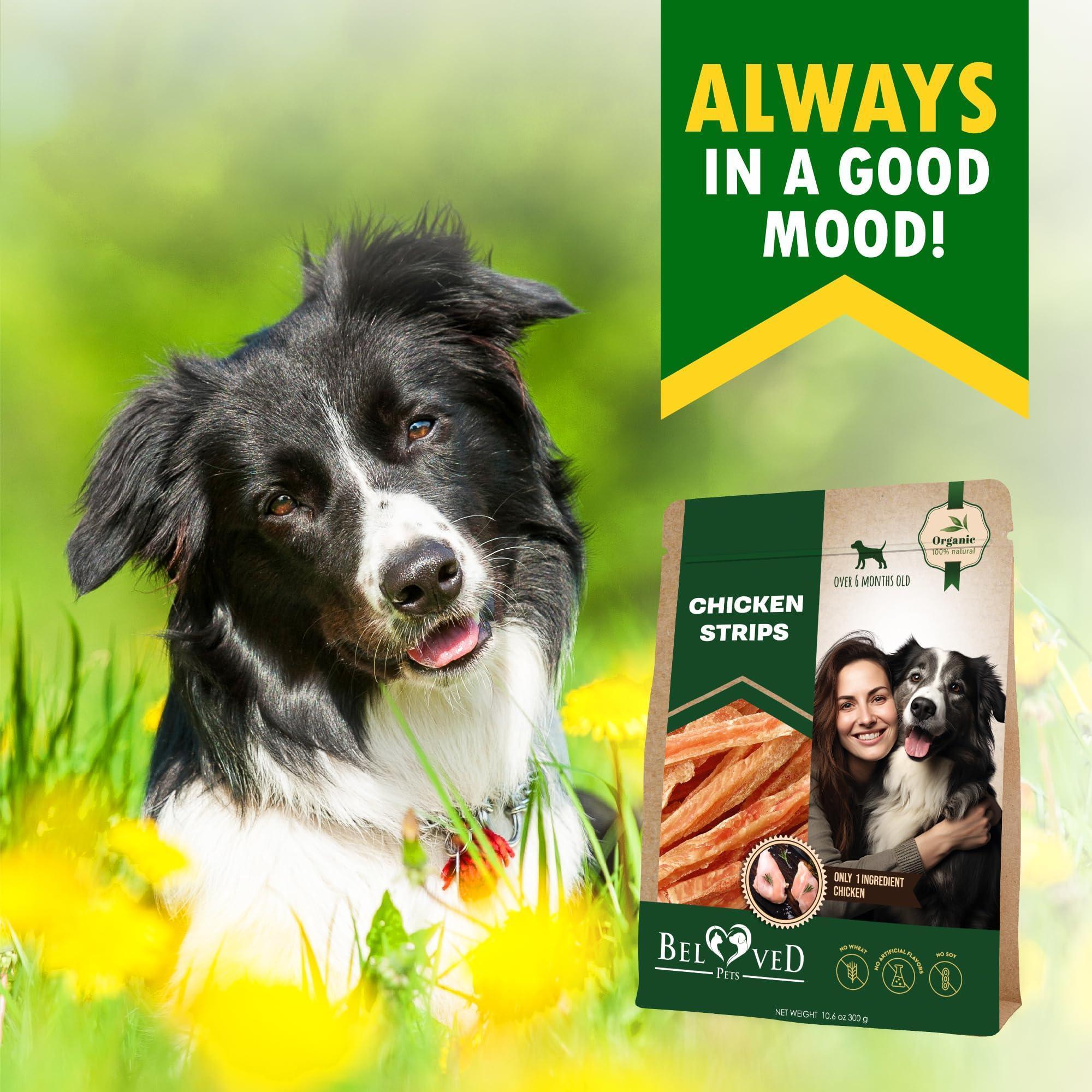 Organic Chicken Sticks for Dogs - Grain-Free 10.6 Oz