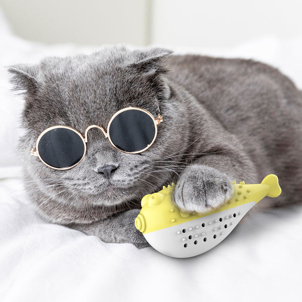 Minty Pufferfish Dental Cat Toy