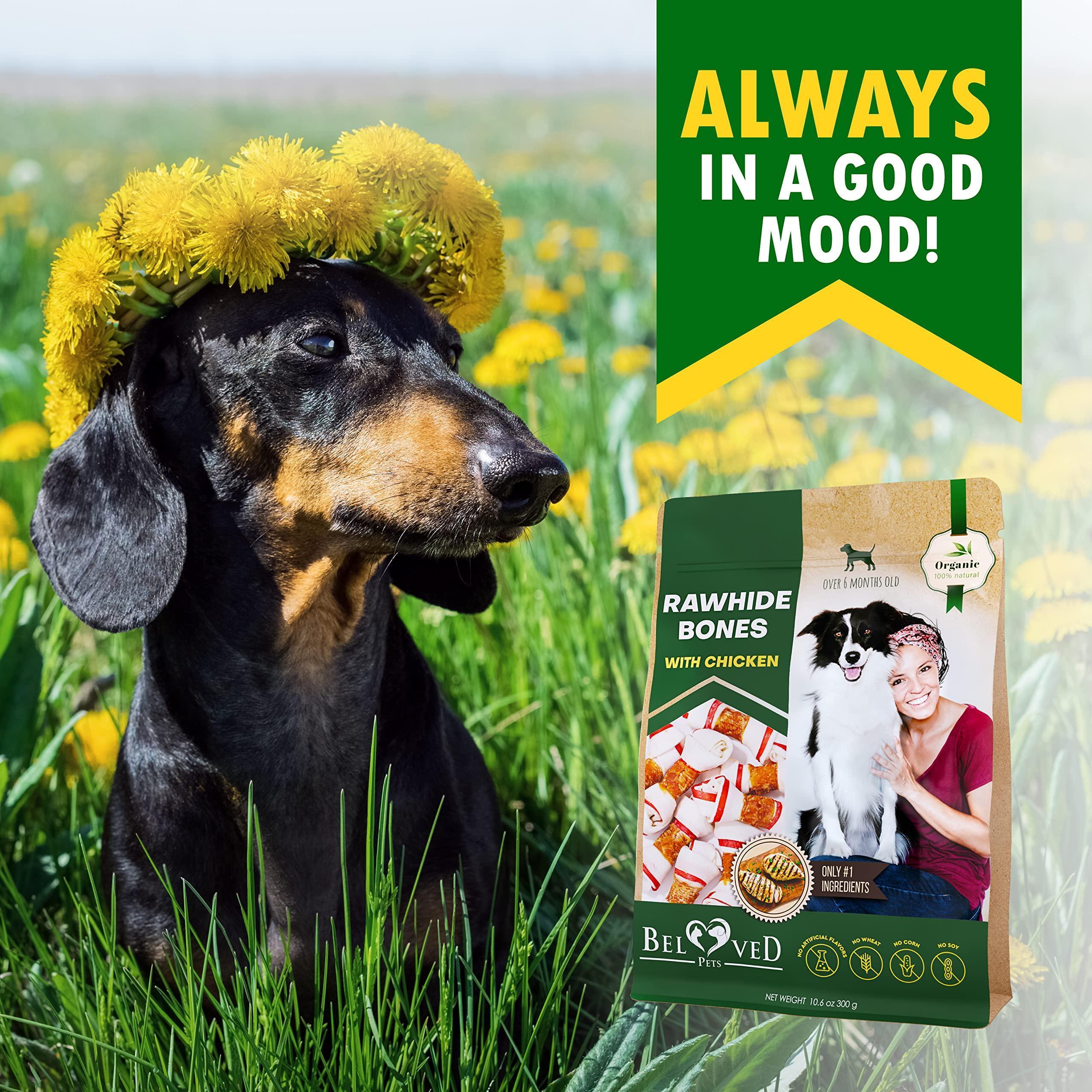 Chicken-Wrapped Rawhide Sticks for Dogs